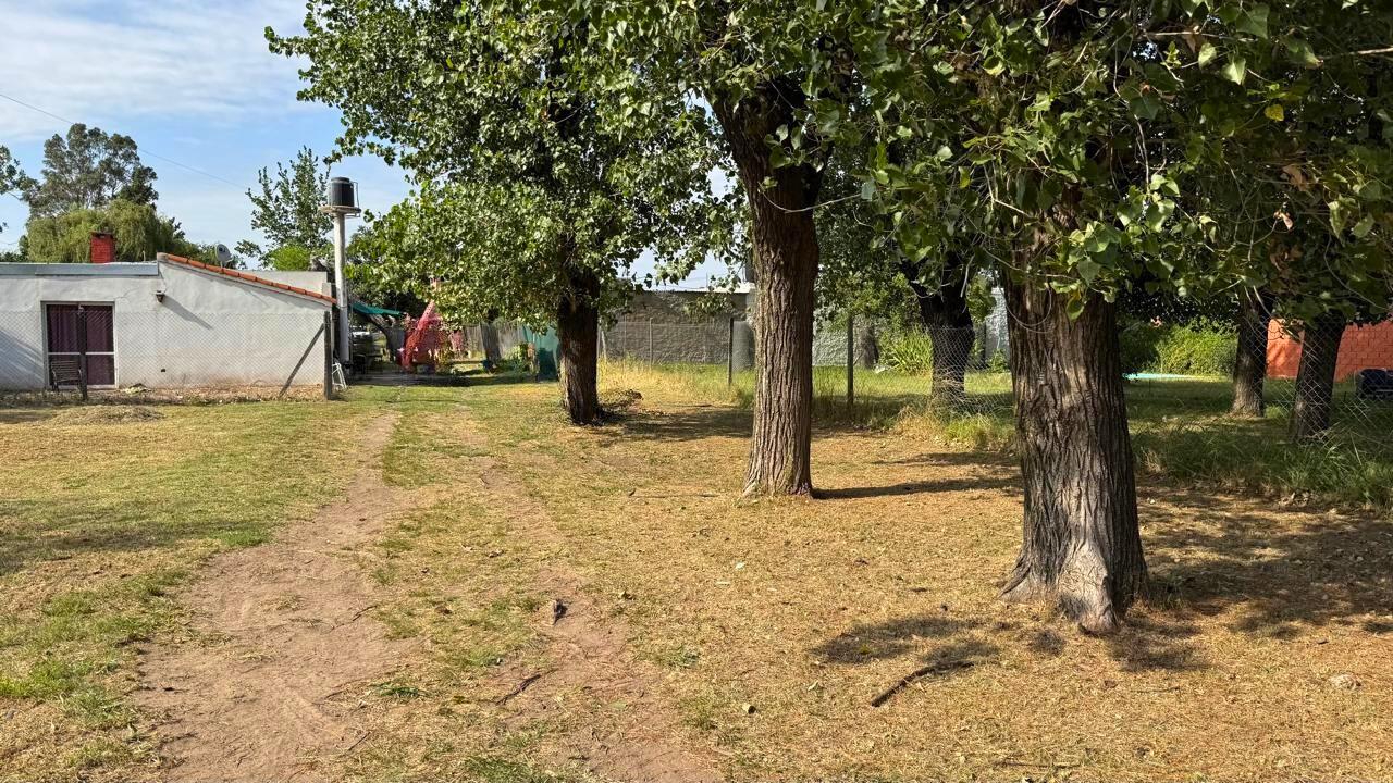 Terreno en Alvear · La Carolina — Alvear, Rosario