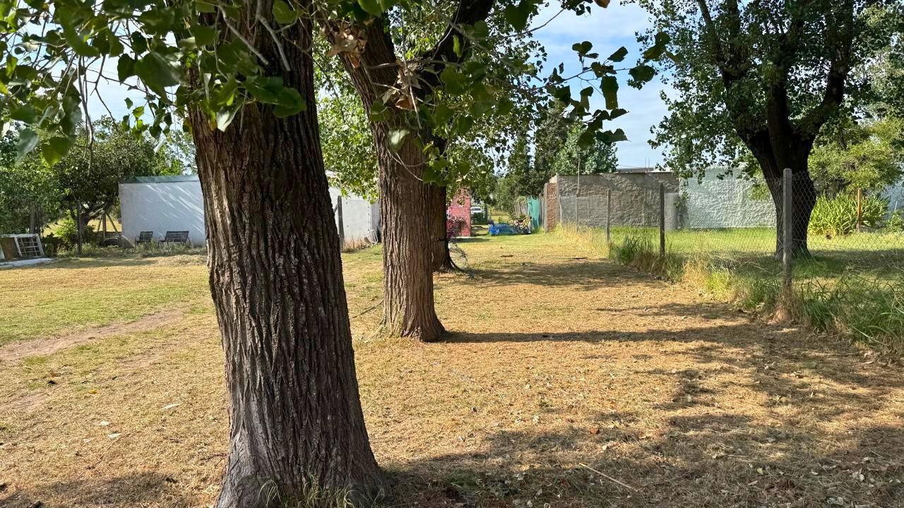 Fondo del lote