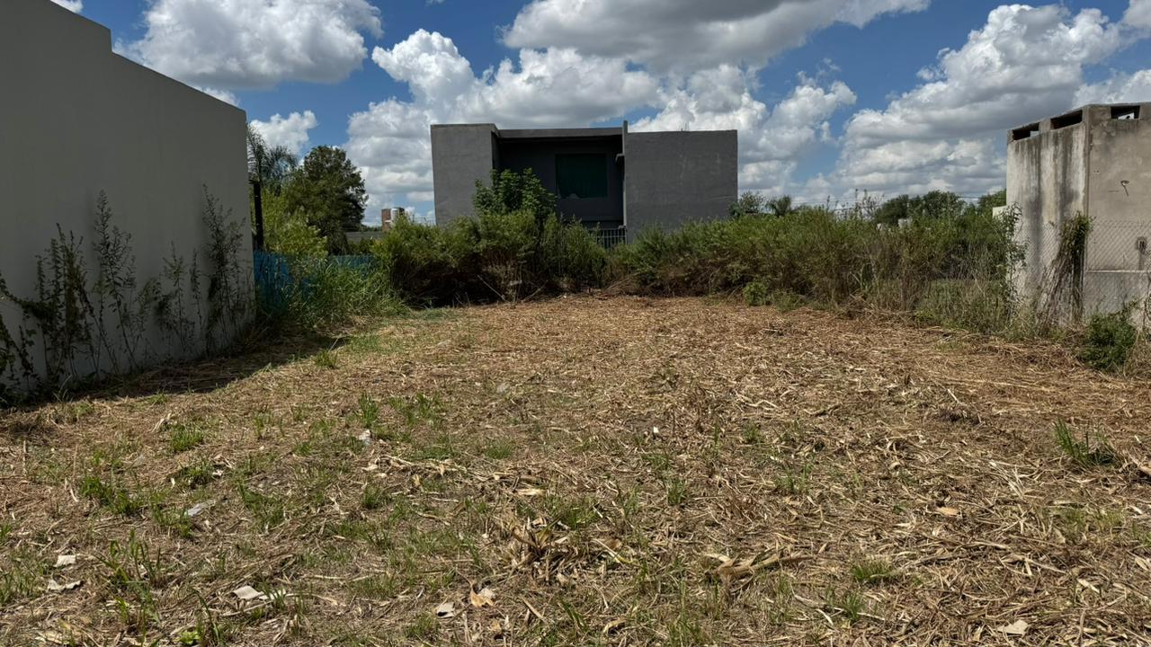 Frente del lote