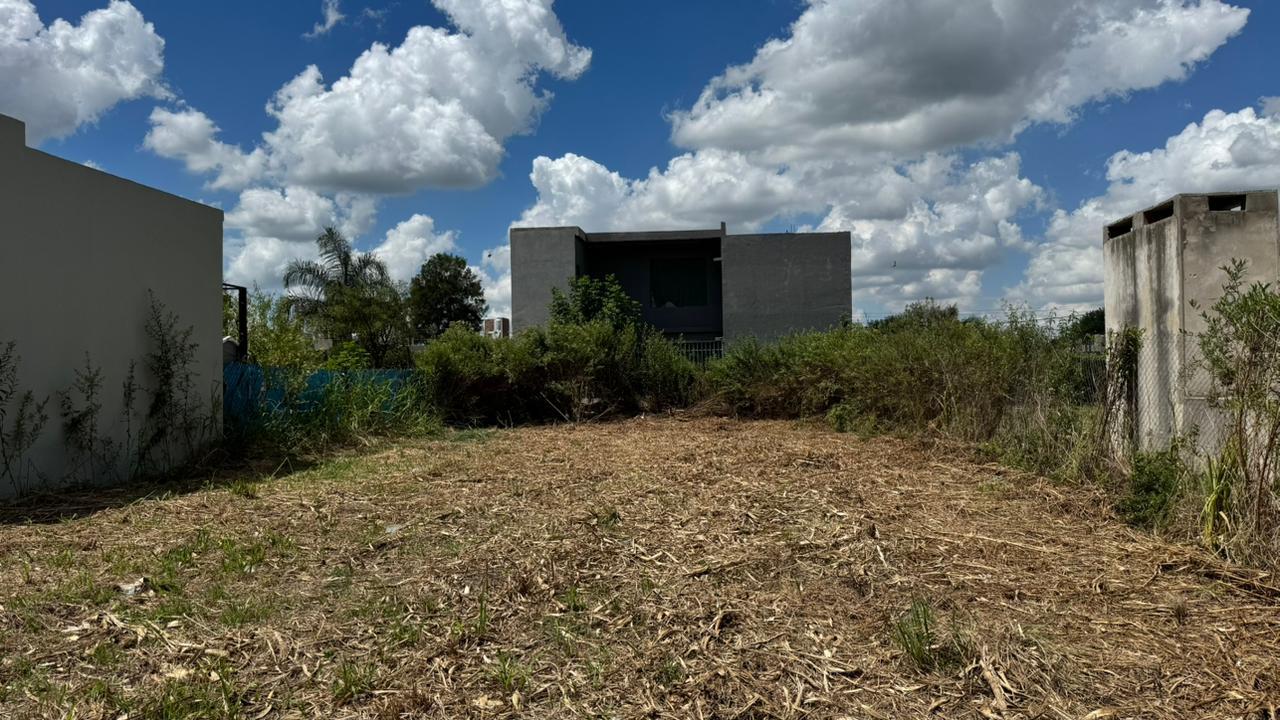 Vista lateral izquierda
