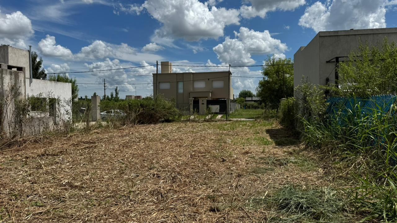 Servicios en la zona