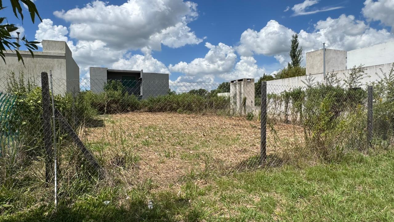 Fondo del terreno